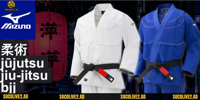 Mizuno không chỉ nổi tiếng ở các môn thể thao phổ biến mà còn có các sẩn phẩm đa dạng khác